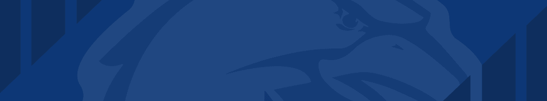 世界杯app下载-段昂君入选2025CBA全明星赛北区替补阵容